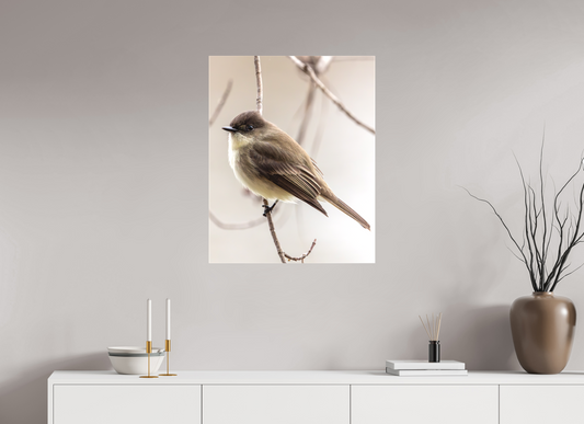 24 x 30″, Matte Canvas Unframed Eastern Phoebe - Quiet Watcher