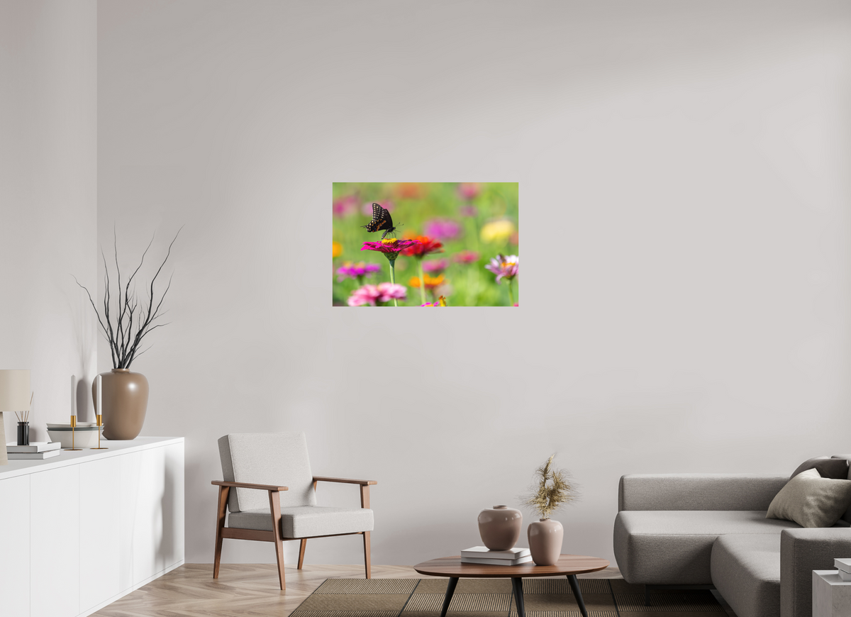 36 x 24″, Matte Photo Print Butterfly Amongst The Flowers