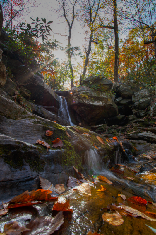 Autumn Flow