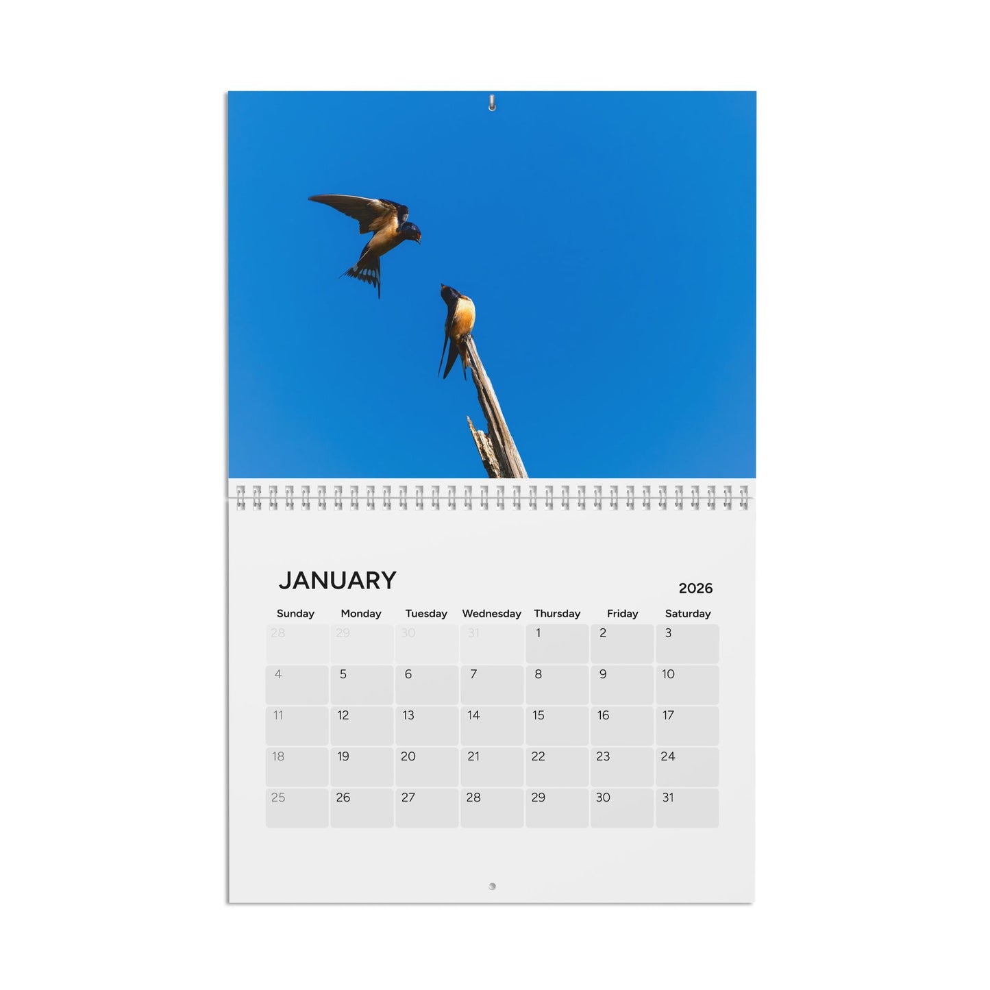 2026 Birds Of North Carolina Calendar