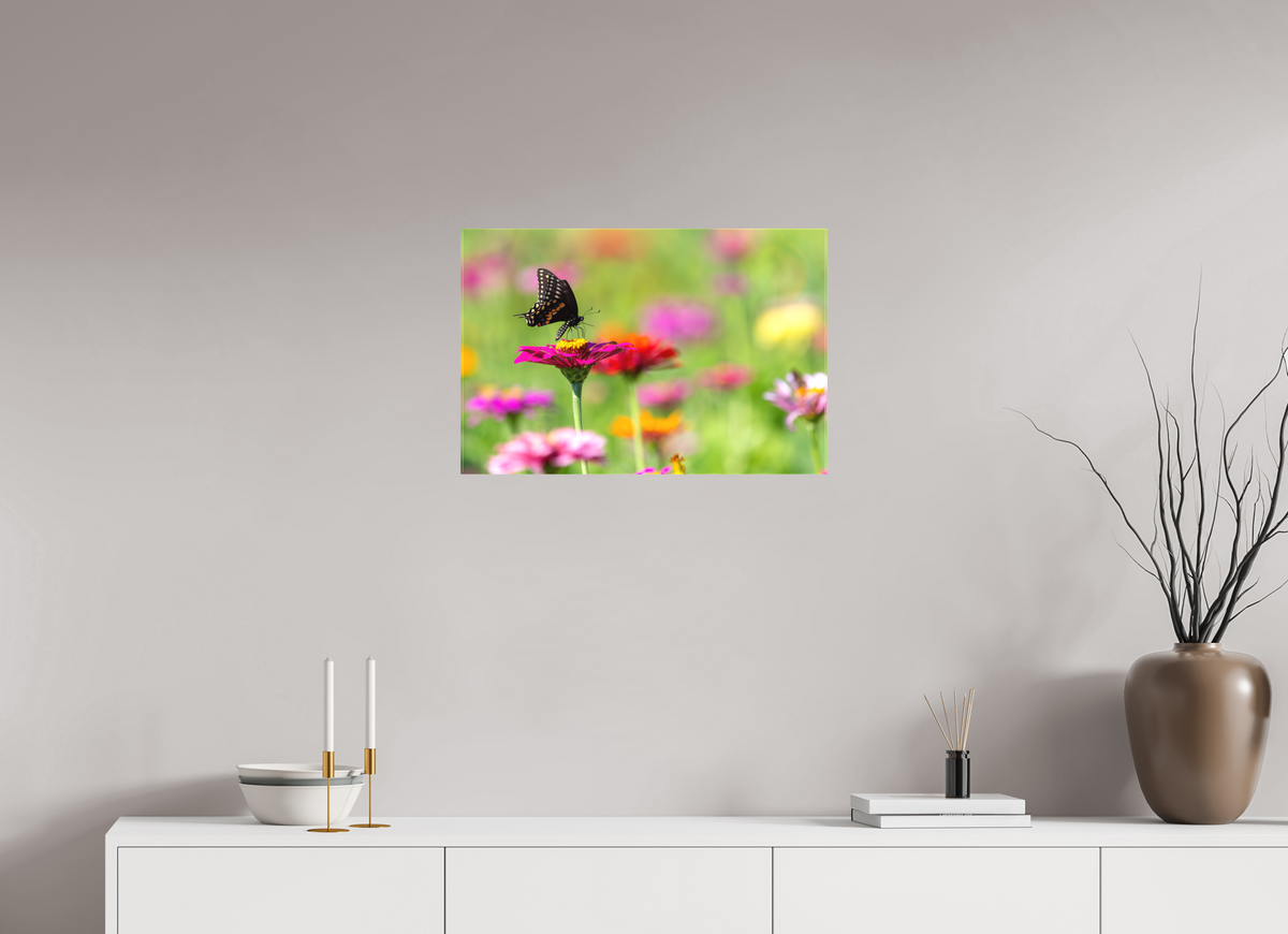 24 x 16″, Matte Canvas Unframed Butterfly Amongst The Flowers