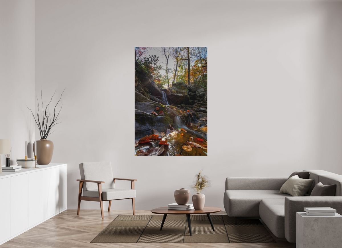 44 x 66″, Matte Photo Print Autumn Flow