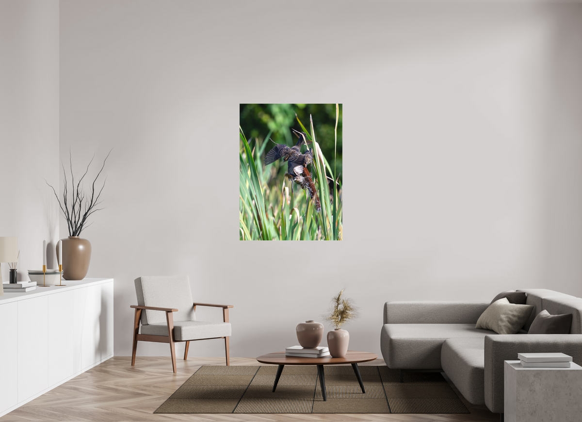 36 x 48″, Matte Canvas Unframed Red-winged Blackbirds