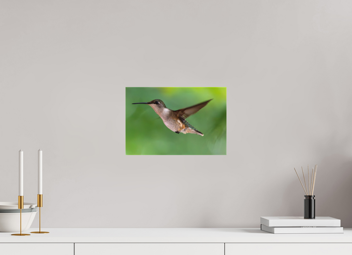 12 x 8″, Matte Canvas Unframed Suspended in Stillness