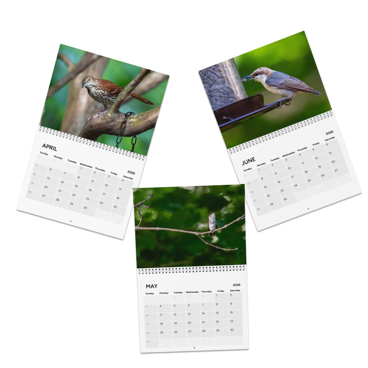 2026 Birds Of North Carolina Calendar
