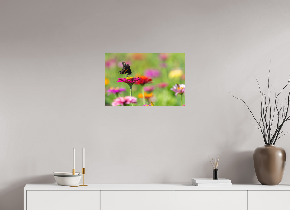 24 x 16″, Matte Photo Print Butterfly Amongst The Flowers