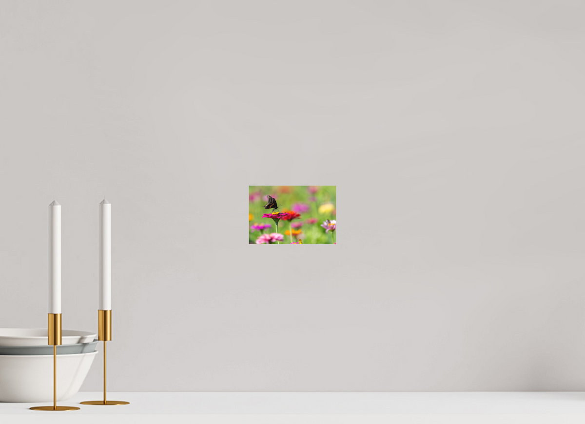 6 x 4″, Matte Photo Print Butterfly Amongst The Flowers