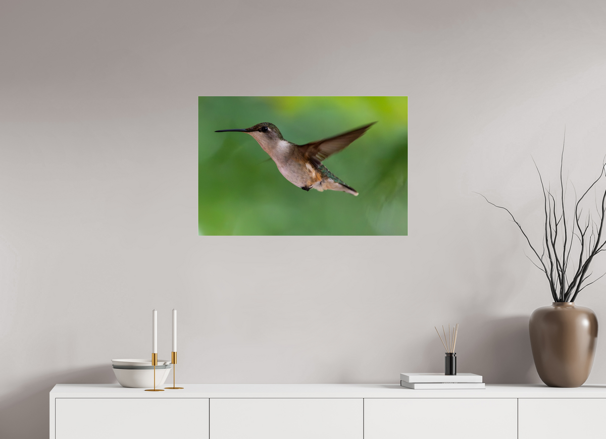 30 x 20″, Photo Print Under Acrylic Glass Suspended in Stillness
