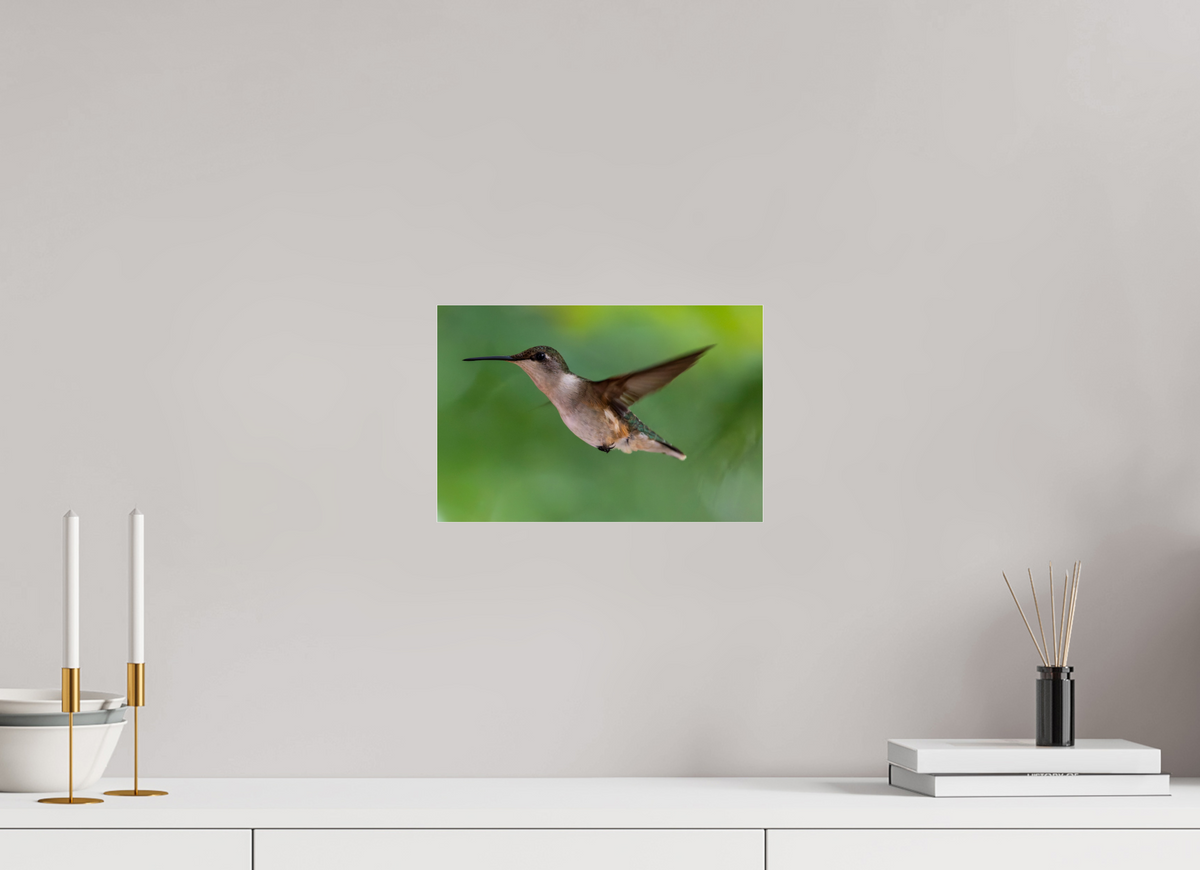 12 x 8″, Photo Print Under Acrylic Glass Suspended in Stillness