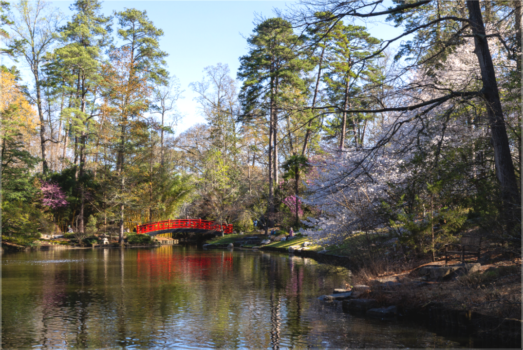 Main image Spring Crossing — Sarah P. Duke Gardens