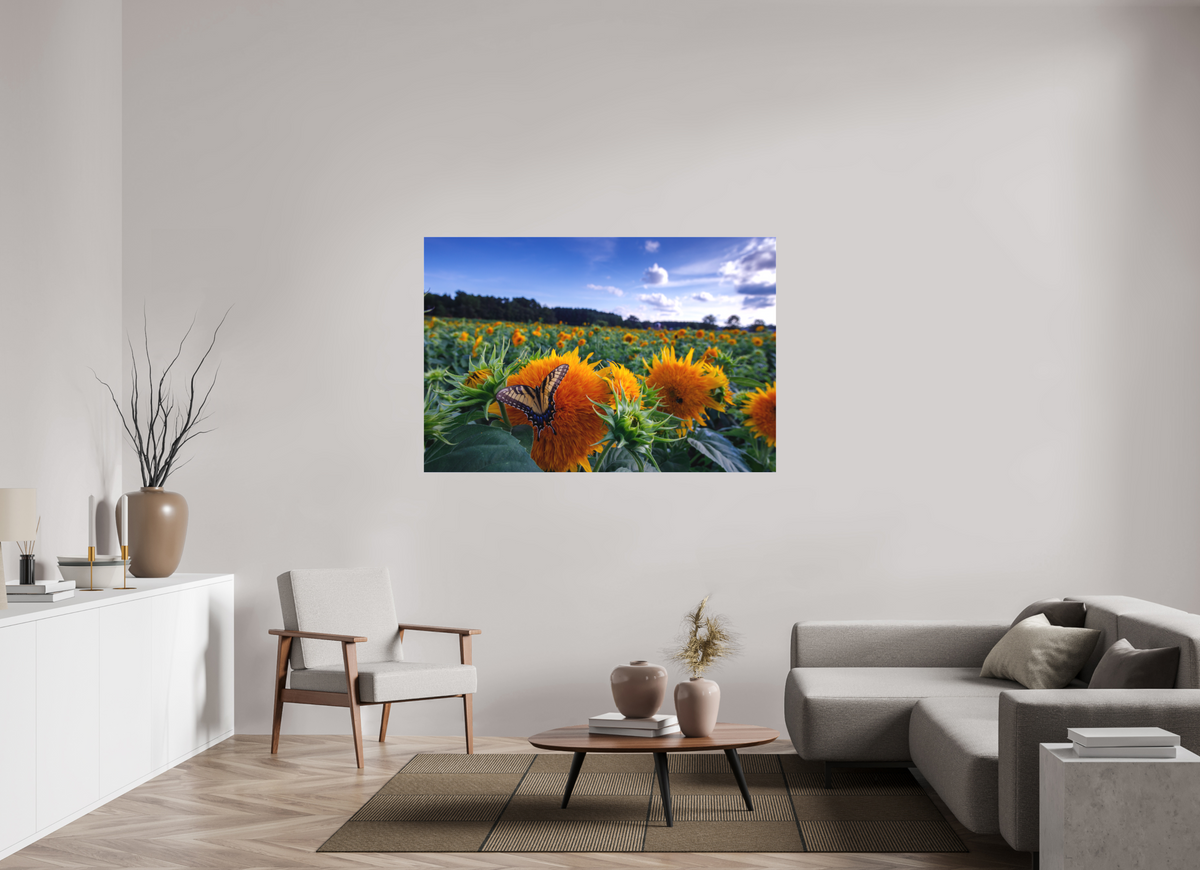 60 x 40″, Matte Canvas Unframed Butterfly In the Sunflowers