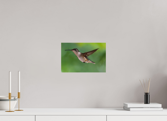 12 x 8″, Matte Photo Print Suspended in Stillness