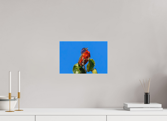 12 x 8″, Matte Canvas Unframed Painted Bunting Singing