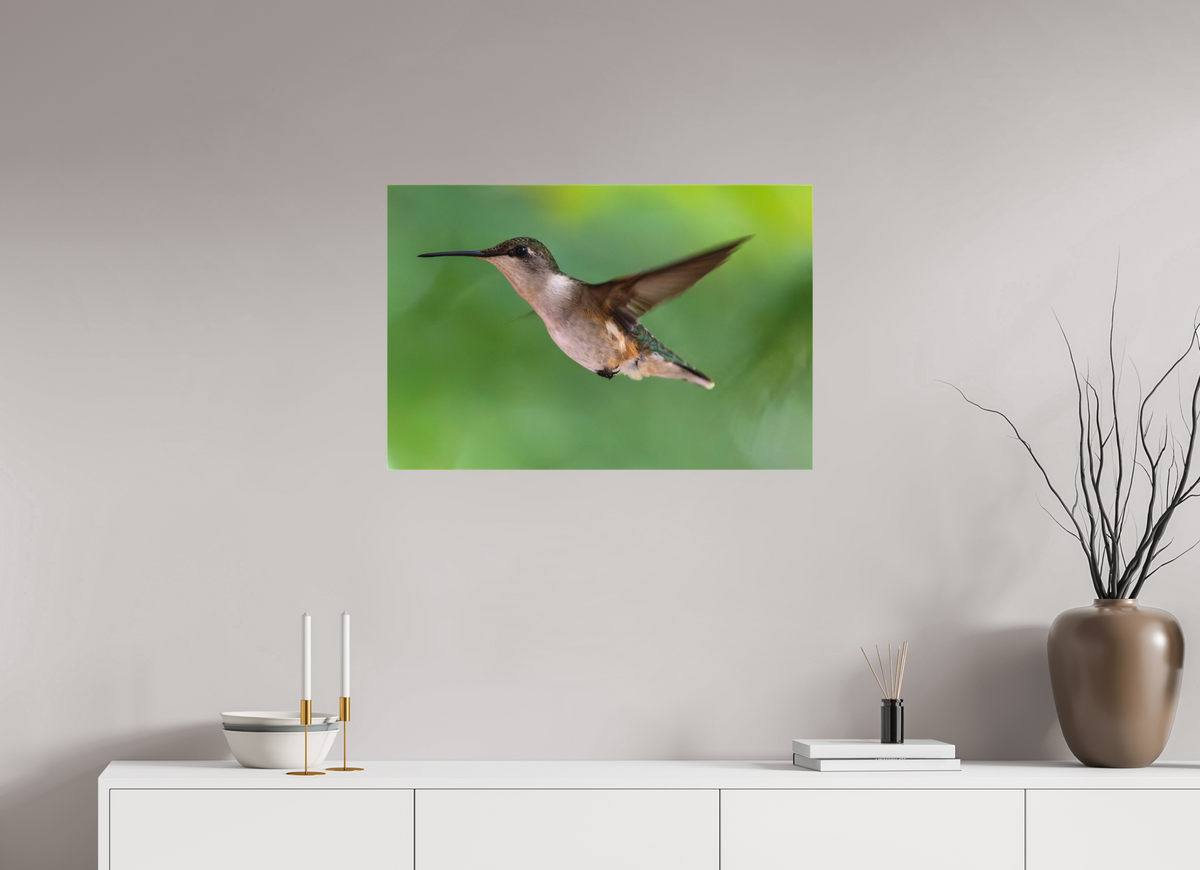 30 x 20″, Matte Canvas Unframed Suspended in Stillness
