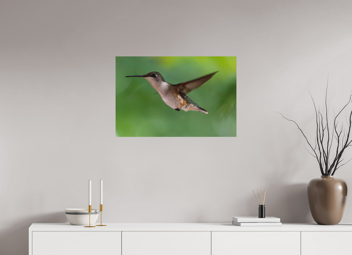 30 x 20″, Matte Photo Print Suspended in Stillness